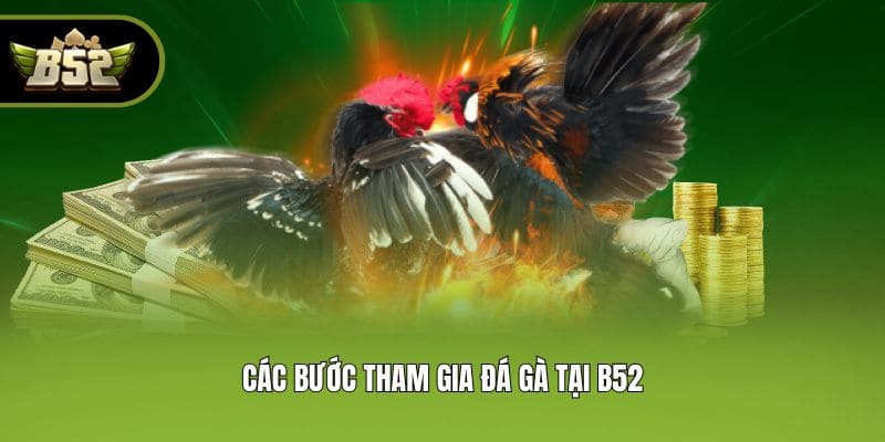 Các bước tham gia đá gà tại B52