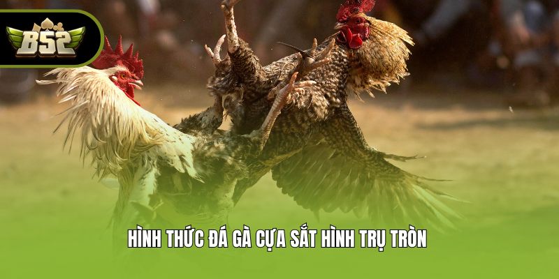 Hình thức đá gà cựa sắt hình trụ tròn